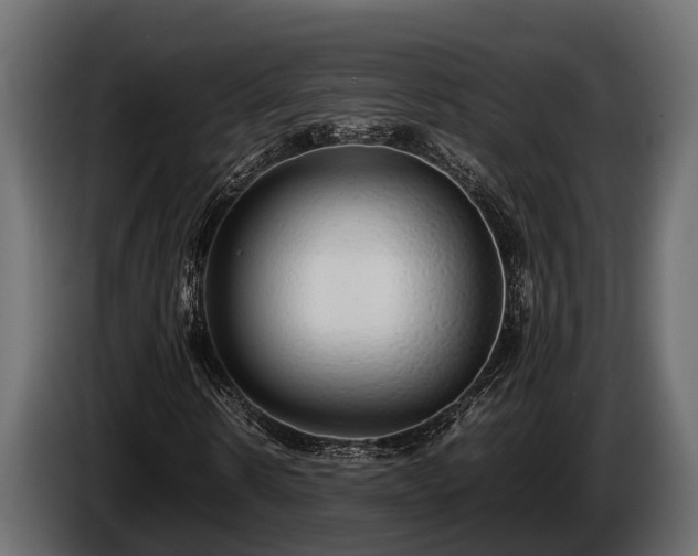 X0000085780914200703231242