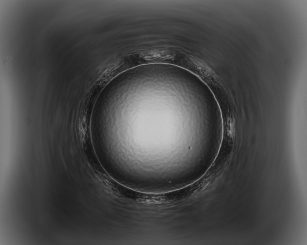 X0000085780915200703231242