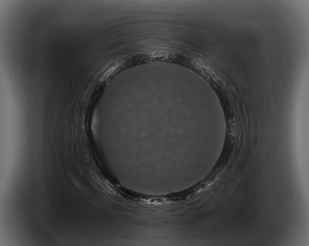 X0000085780916200703231242