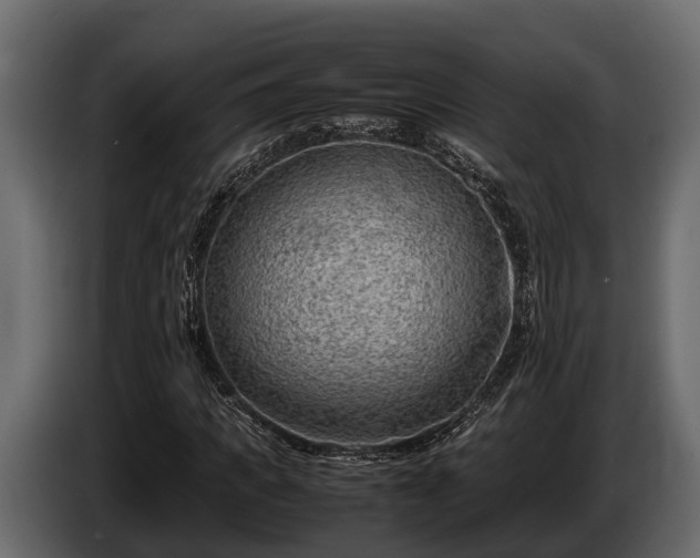 X0000085780917200703231242