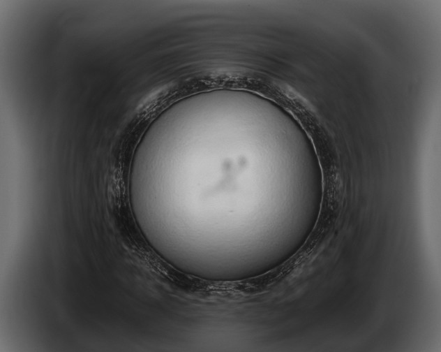 X0000085780918200703231242