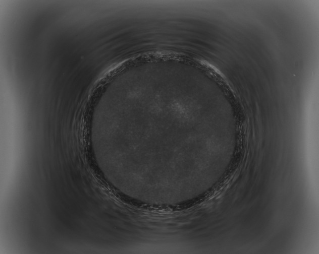 X0000085780919200703231242