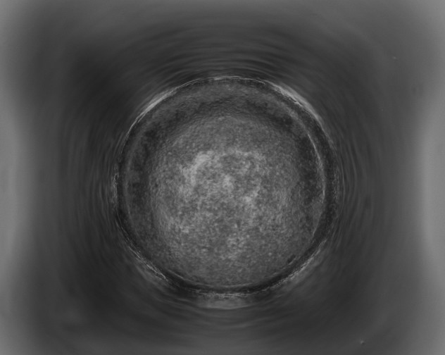 X0000085780921200703231242