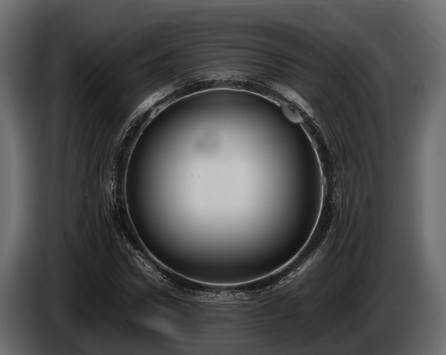 X0000085780922200703231242