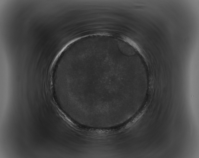 X0000085780923200703231242