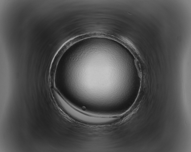 X0000085780924200703231242