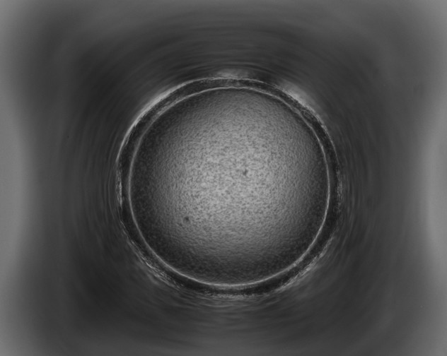 X0000085780925200703231242