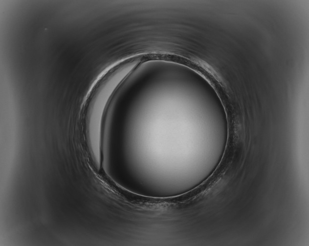 X0000085780926200703231242