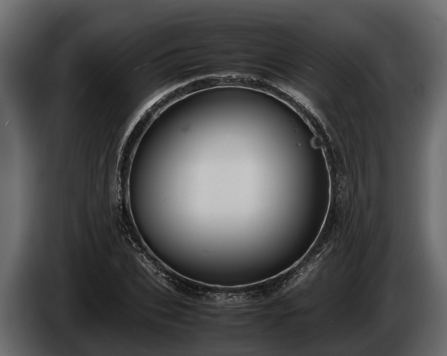 X0000085780927200703231242