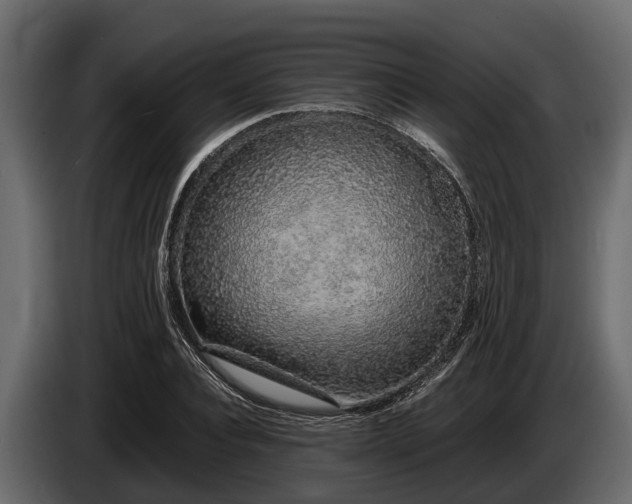 X0000085780928200703231242