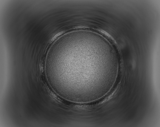 X0000085780929200703231242