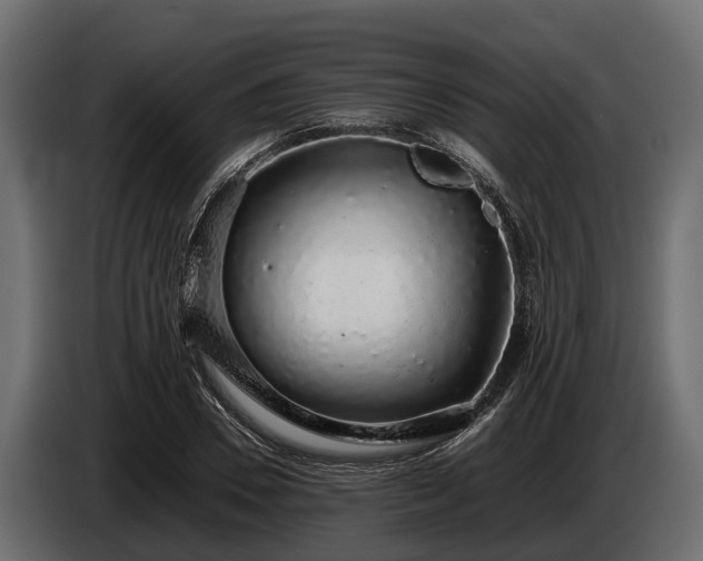 X0000085780930200703231242