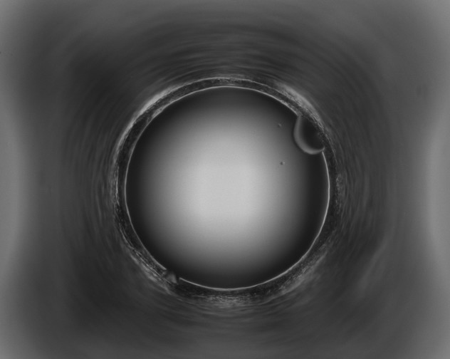 X0000085780931200703231242