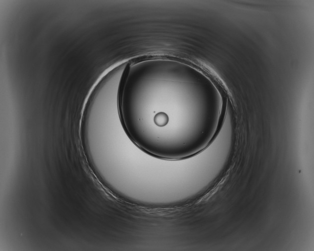 X0000085780932200703231242