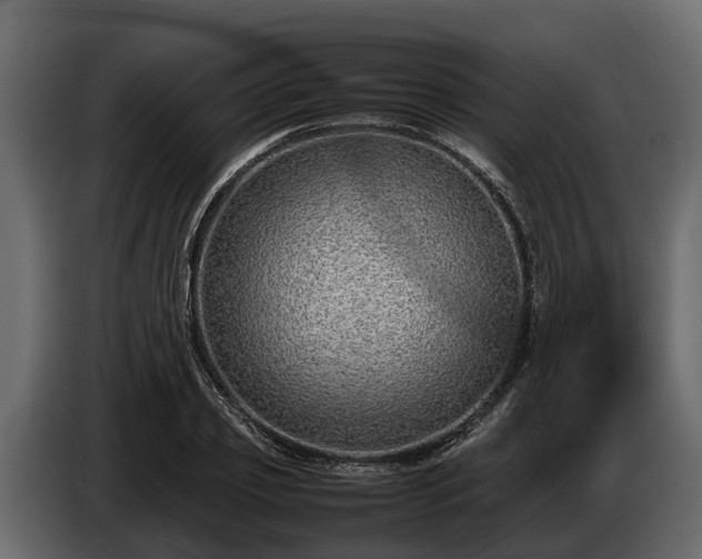 X0000085780933200703231242