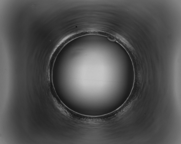 X0000085780934200703231242