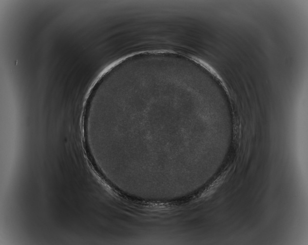 X0000085780935200703231242