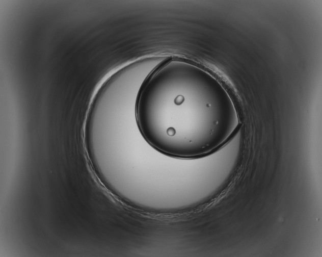 X0000085780936200703231242