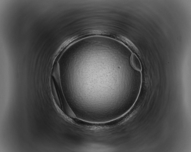 X0000085780938200703231242