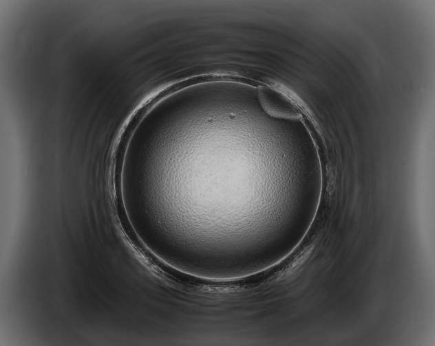 X0000085780939200703231242