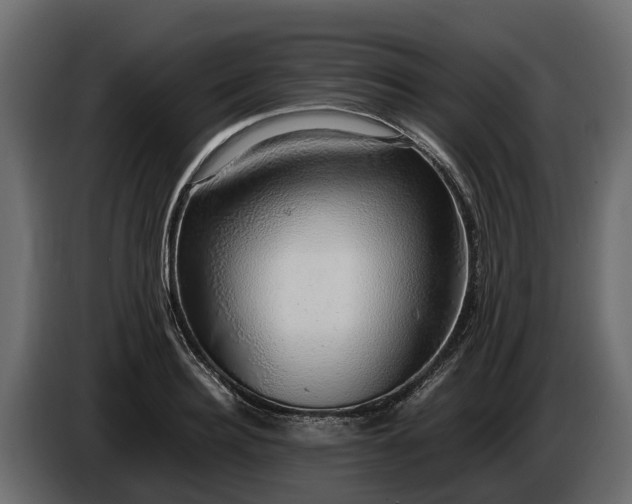 X0000085780940200703231242