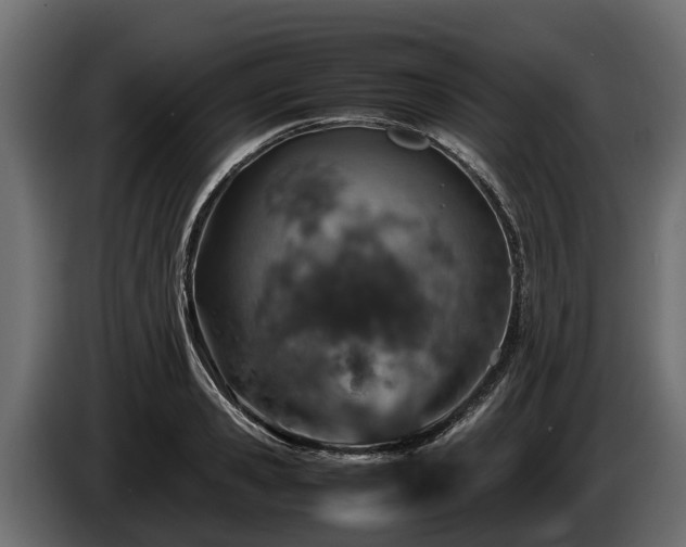 X0000085780941200703231242