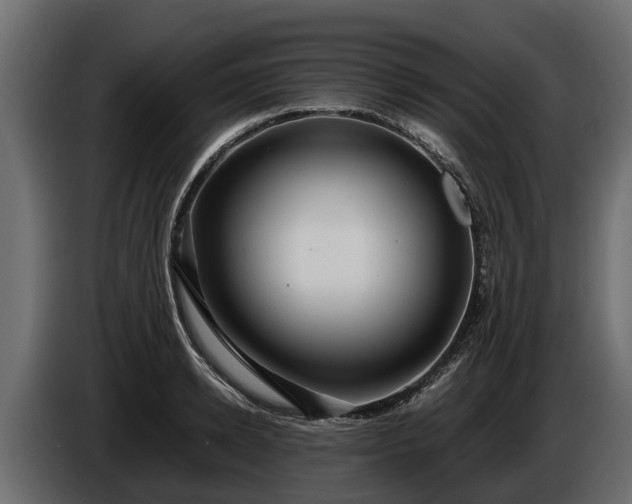 X0000085780942200703231242