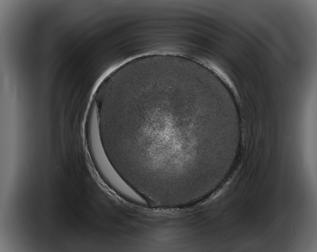 X0000085780944200703231242