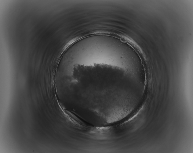 X0000085780945200703231242