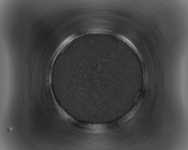 X0000085780946200703231242