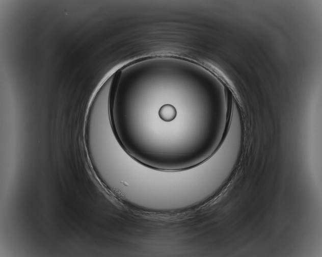 X0000085780948200703231242