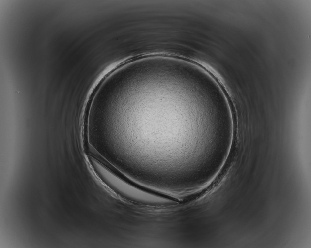 X0000085780949200703231242