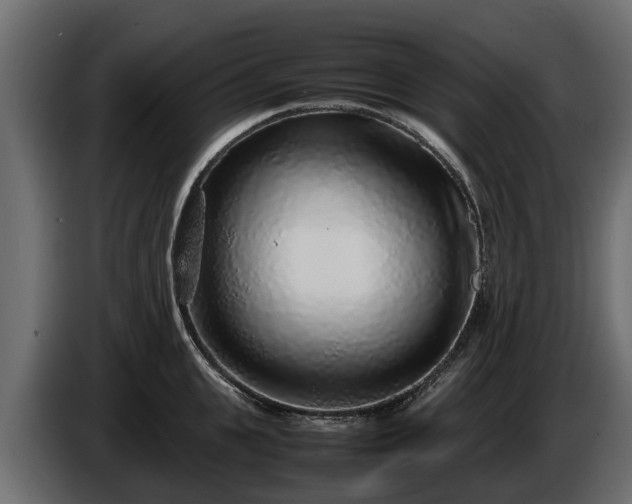 X0000085780951200703231242