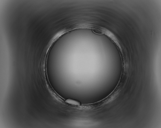 X0000085780954200703231243