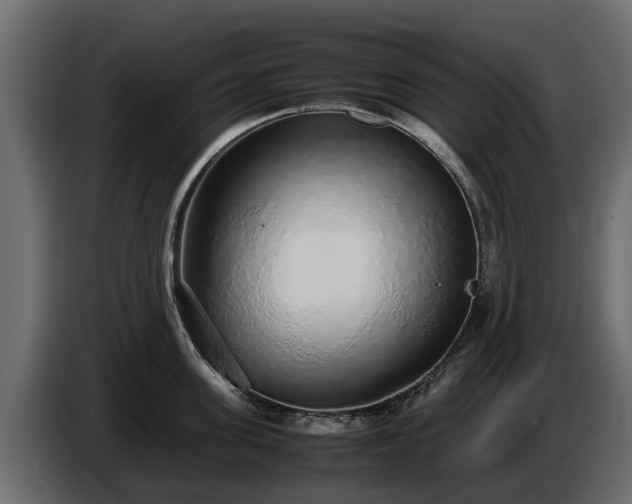 X0000085780955200703231243