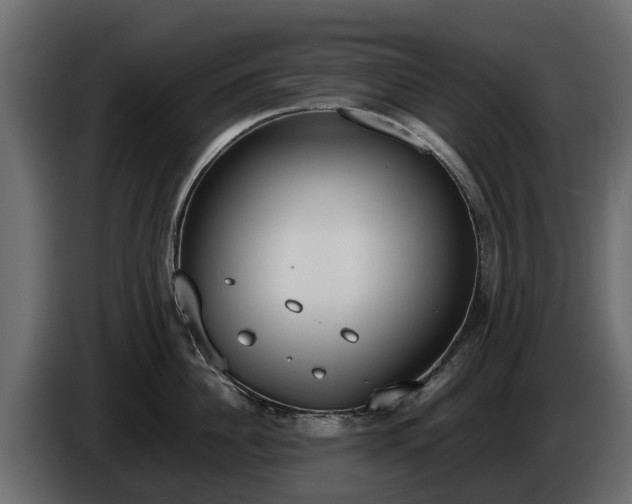 X0000085780956200703231243