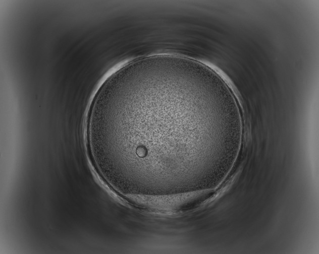 X0000085780957200703231243