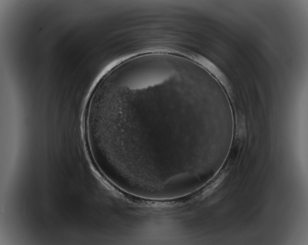 X0000085780958200703231243