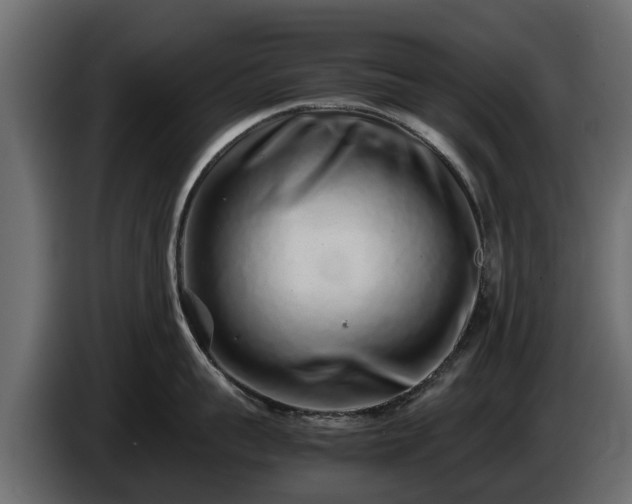 X0000085780959200703231243