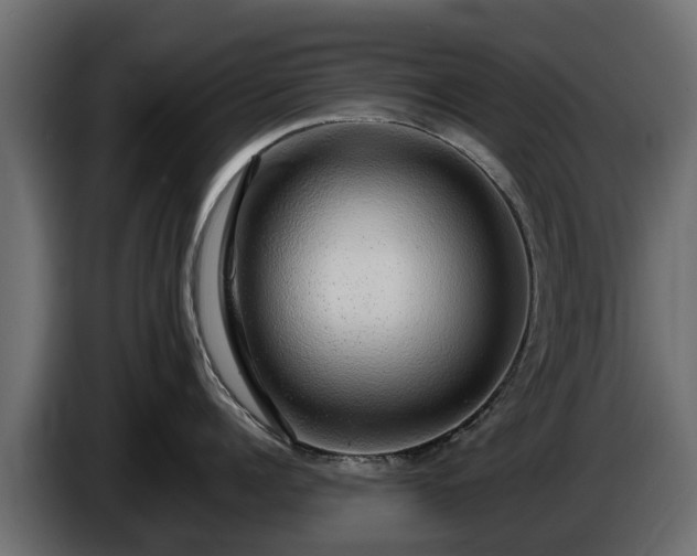 X0000085780960200703231243