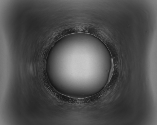 X0000085780961200703231242