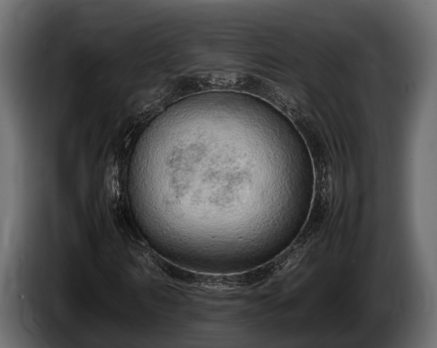 X0000085780962200703231242