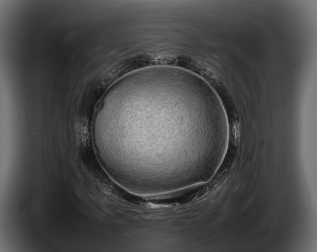 X0000085780963200703231242