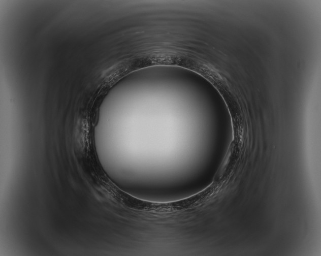 X0000085780964200703231242