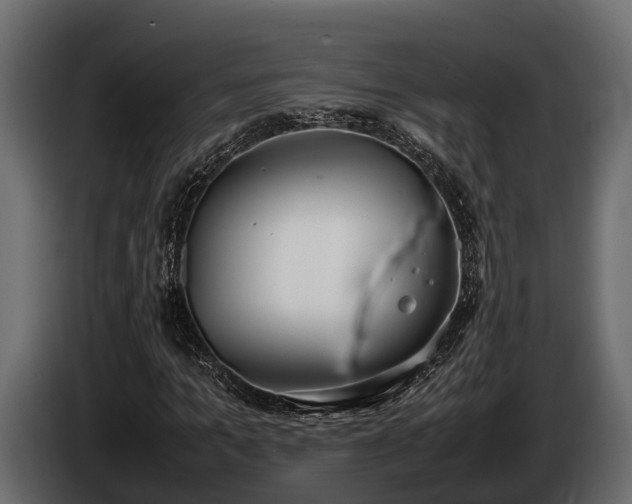 X0000085780965200703231242