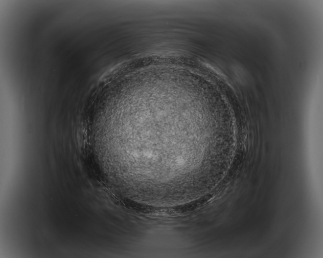 X0000085780966200703231242