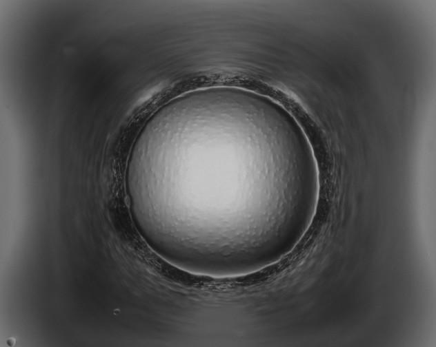 X0000085780967200703231242