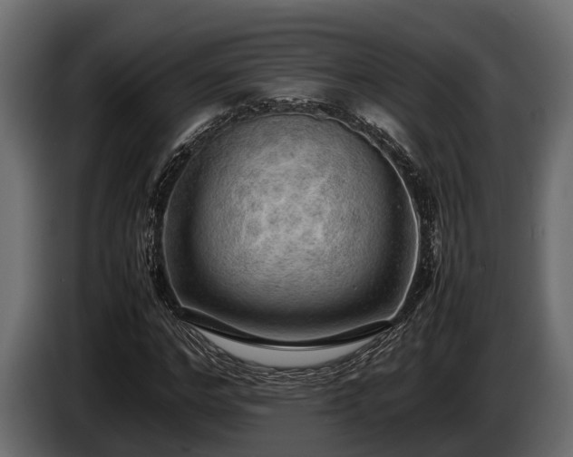 X0000085780968200703231242