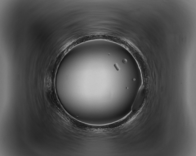 X0000085780969200703231242