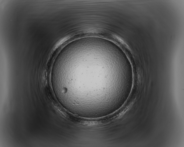 X0000085780970200703231242